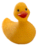 Don't Duck Metadata ducky mascot