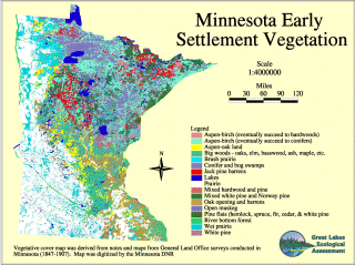 Map of Minnesota's early settlement vegetation
